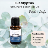 2 Pack Mainstays Pure Essential Oil, Eucalyptus, 15 ml, Therapeutic Grade, for Use with Oil Diffusers (Copy)