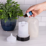 2 Pack Mainstays Pure Essential Oil, Eucalyptus, 15 ml, Therapeutic Grade, for Use with Oil Diffusers (Copy)
