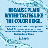 Splash Blood Orange Sparkling Water 12 fl oz 8-Pack Cans Zero Calorie Drink✅ ✅ ✅