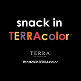 TERRA Sea Salt Original Vegetable Snack Chips, Sharing Size, 8.2 oz 2 PACK